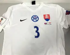 斯洛伐克主场险胜马其顿，仍有出线机会(斯洛伐克球赛往期)